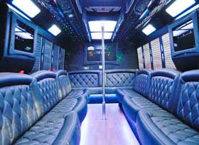 Luxury Party Bus (20 Passengers)